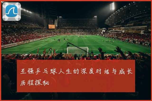 王强乒乓球人生的深度对话与成长历程探秘