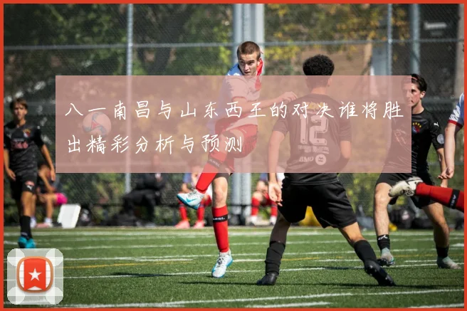 八一南昌与山东西王的对决谁将胜出精彩分析与预测